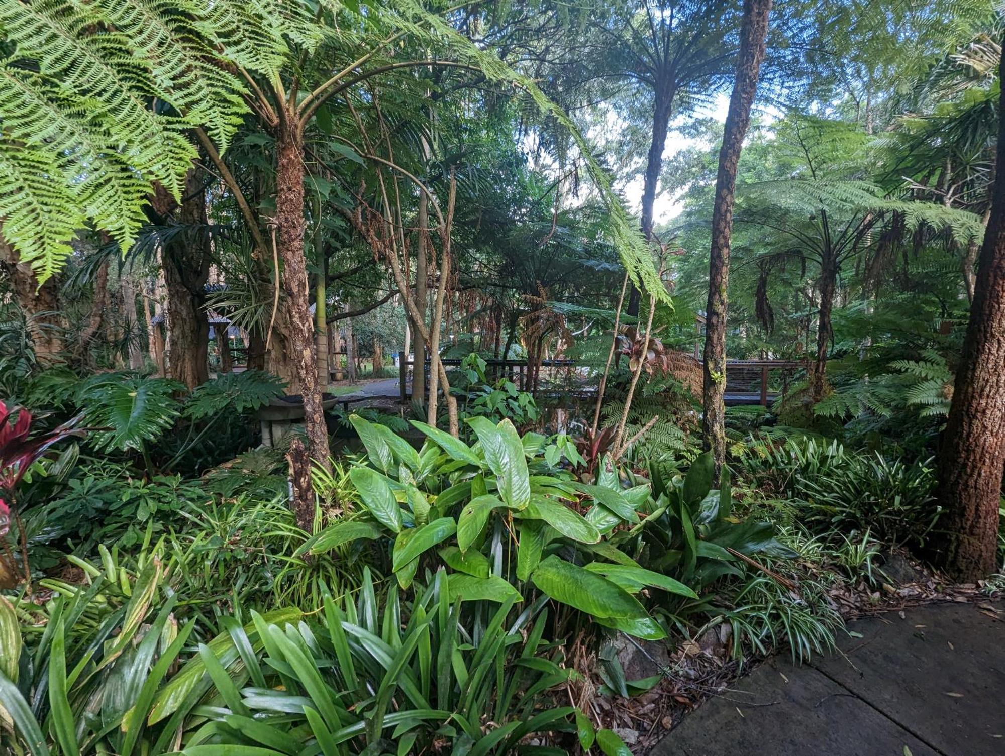 The Oasis At One Mile Beach Nelson Bay Exterior foto