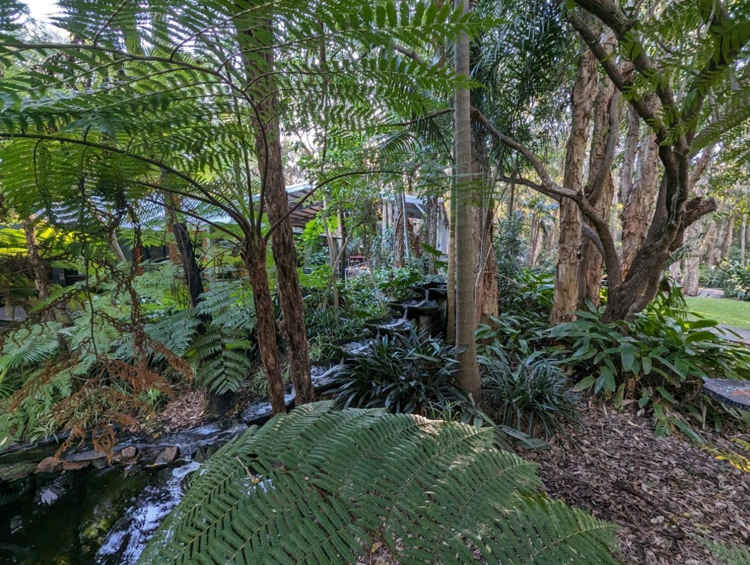 The Oasis At One Mile Beach Nelson Bay Exterior foto